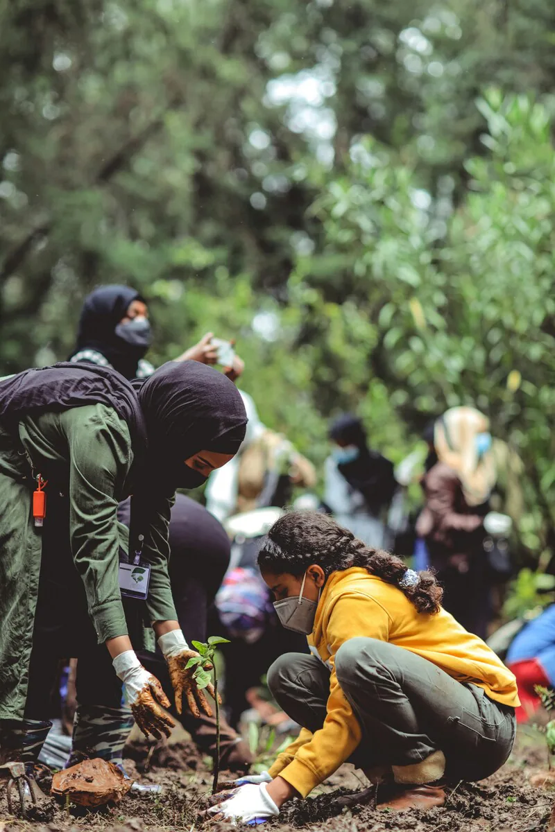 SHTF mission